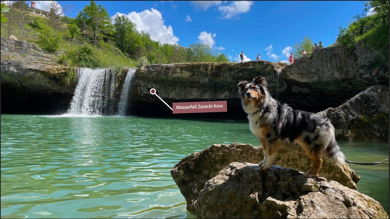 Urlaub mit Hund Kroatien - Istrien Mai 2024