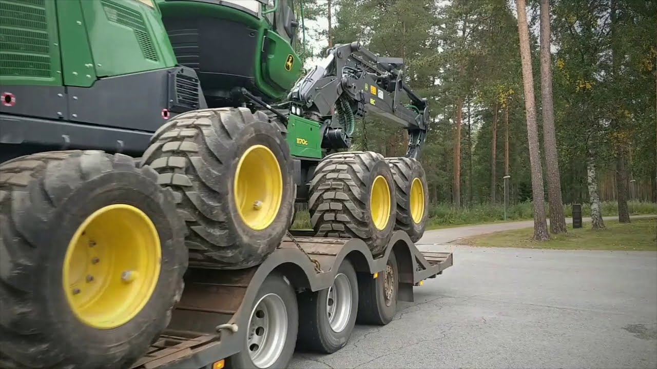 Sedu metsäala livenä