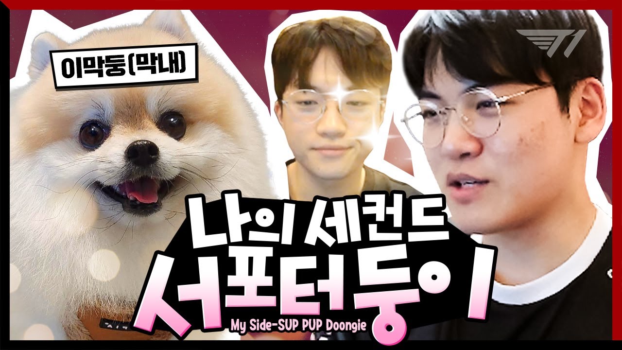 나의 둥이씨 [Gumayusi Stream Highlight]