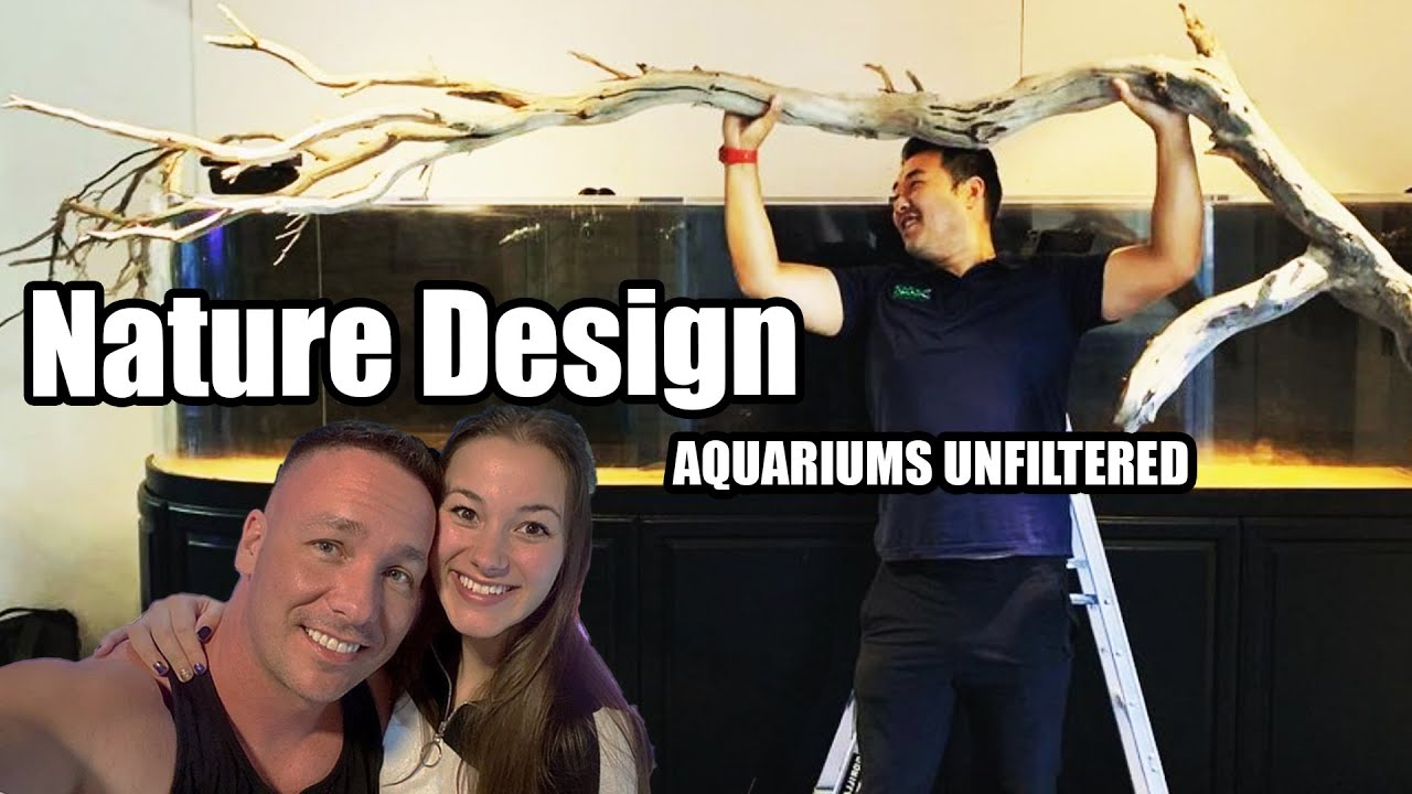 Aquariums Unfiltered - Episode 12- TMK Aquarist - The king of DIY