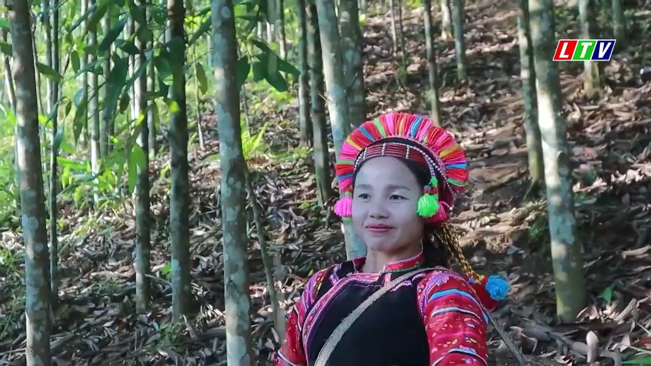 LAI CH&Acirc;U THU H&Uacute;T D&Ograve;NG VỐN ĐẦU TƯ V&Agrave;O CHẾ BIẾN N&Ocirc;NG SẢN