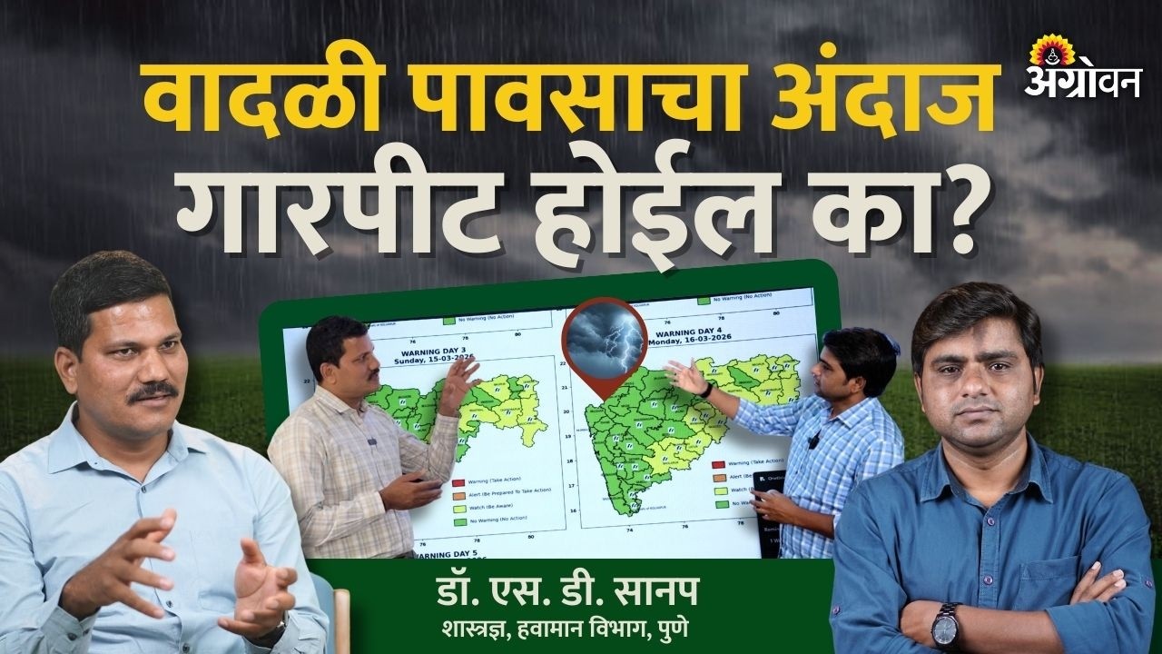 Maharashtra Rain Alert: राज्यातील कोणकोणत्या जिल्ह्यांमध्ये पाऊस पडणार ? | Agrowon