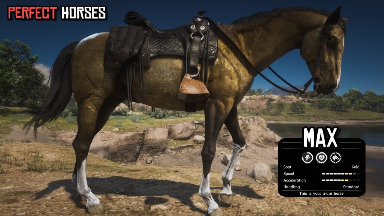 Perfect Horses for Arthur in Each Chapter | Red Dead Redemption 2