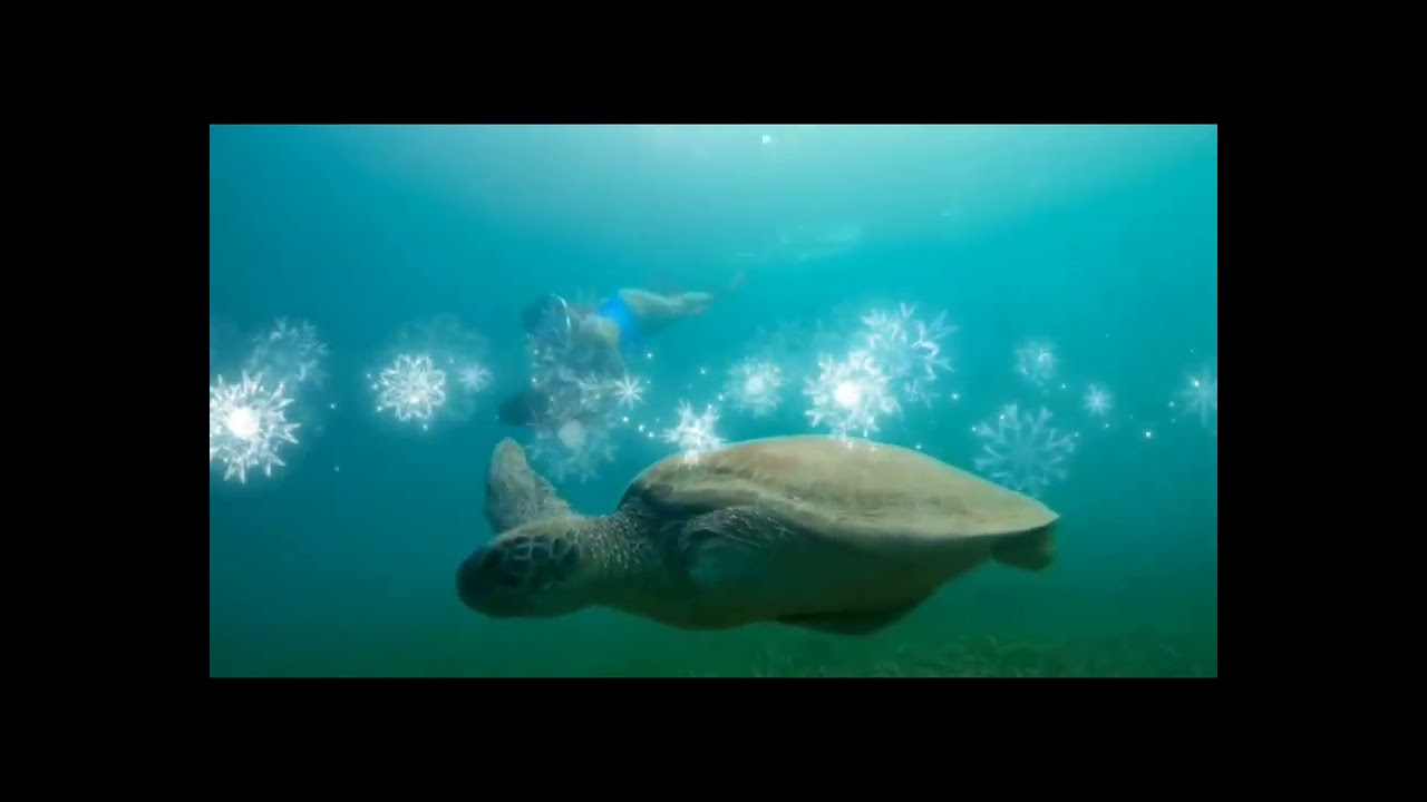 Ask-Iba Tours & Services 