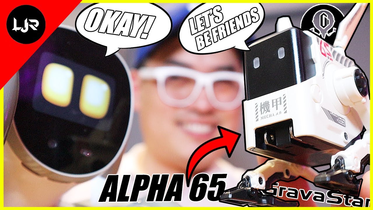 This Robot Could Be Loona Robot's Best Friend 🤖
