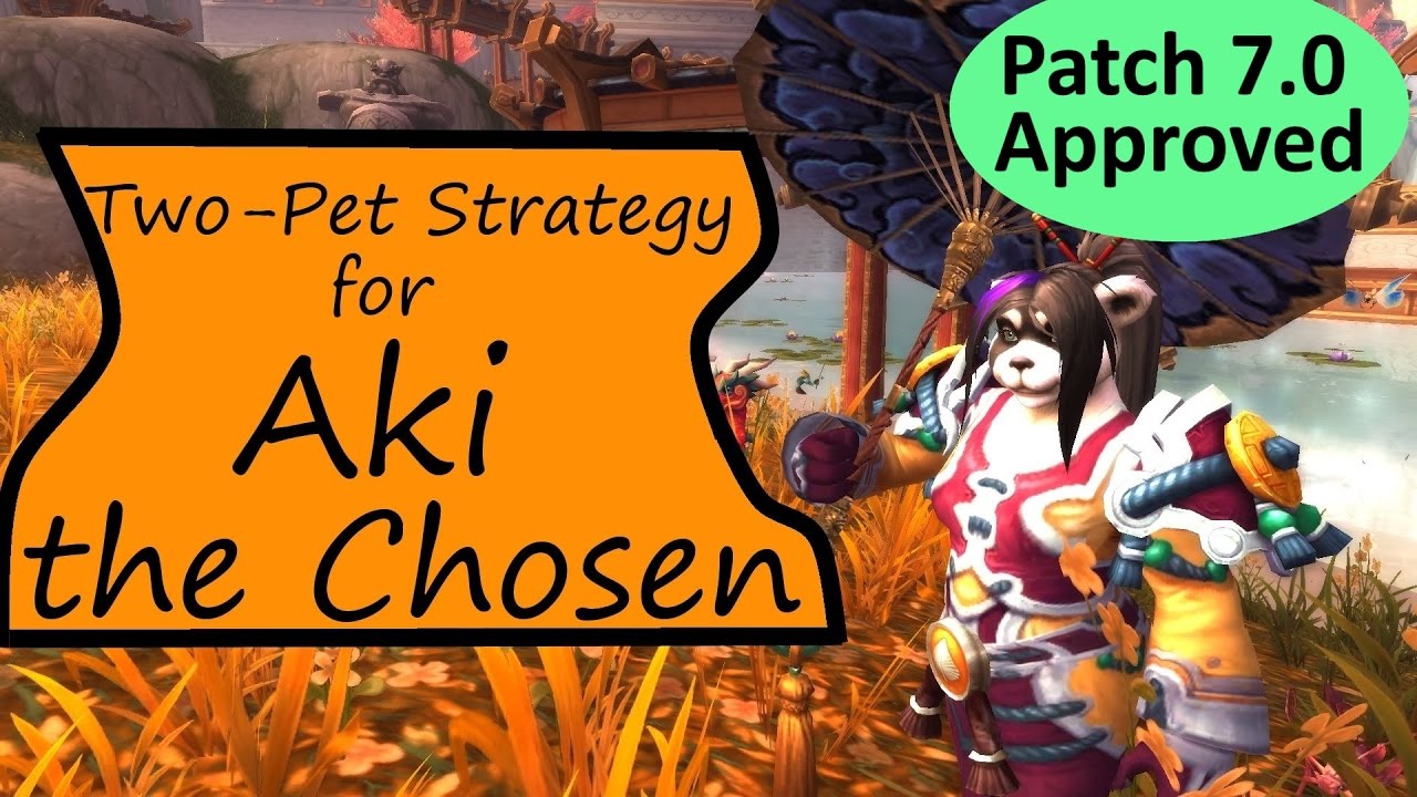 Aki the Chosen: WoW Pet Battle Powerlevel Guide
