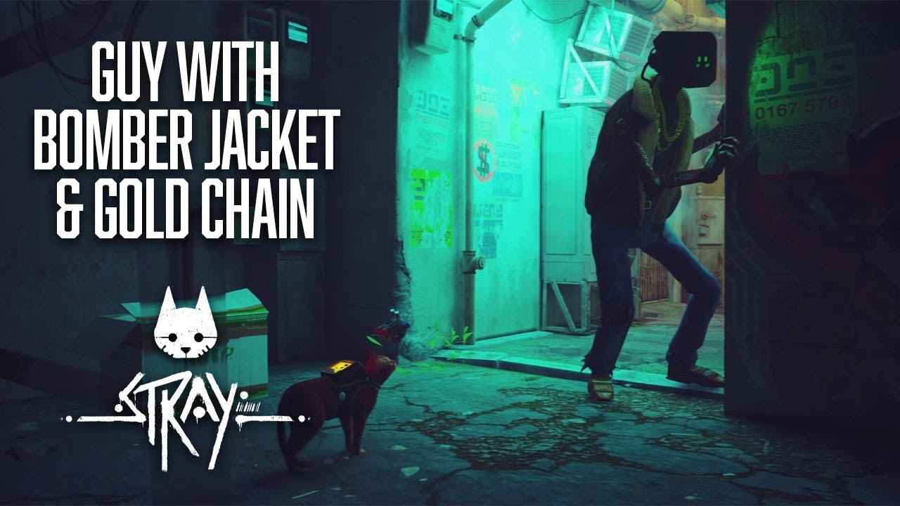 STRAY — Как найти парня в куртке-бомбере и с золотой цепью и попасть на фабрику