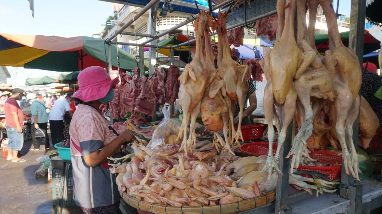 Morning Food Market Scenes @Phsa Chhbar Ampov - Walk Around Vegetables Market Chhbar Ampov