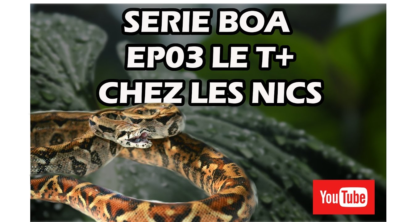 Série Boas -Ep 03- mutation T+ chez le NIC