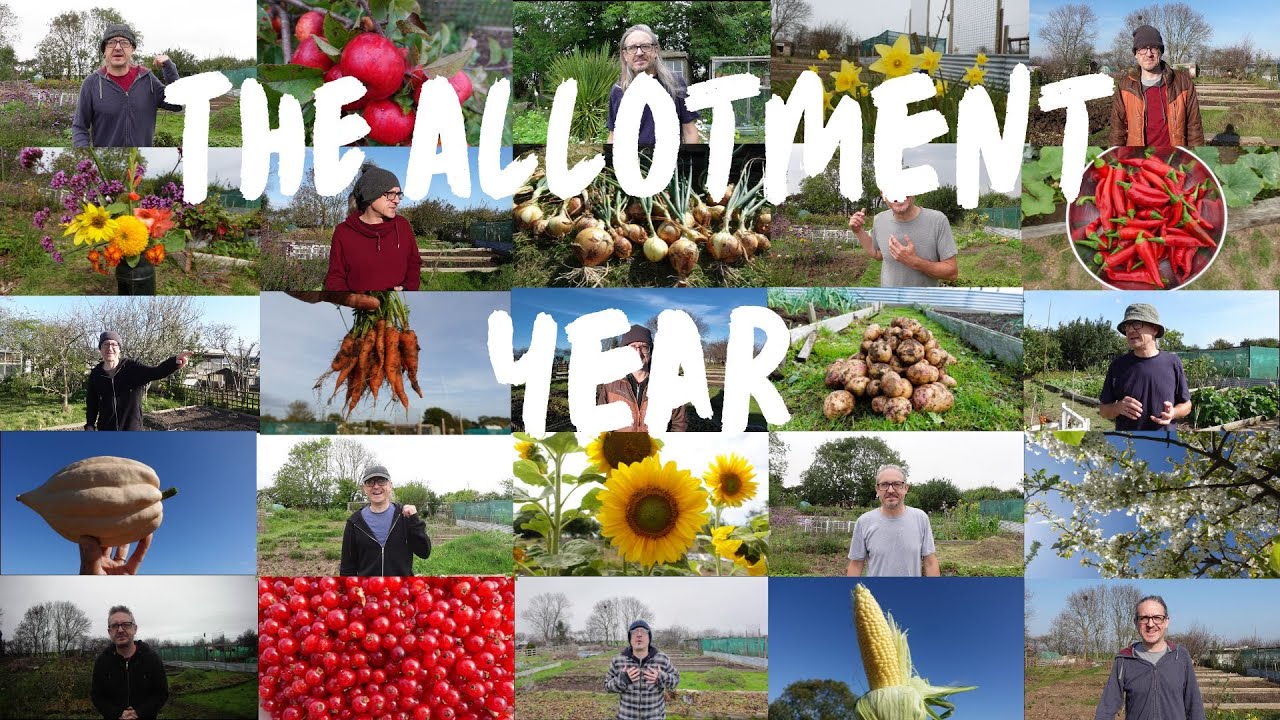 The Allotment Year - 12 Months at the Allotment - What I was sowing and growing each month in 2025