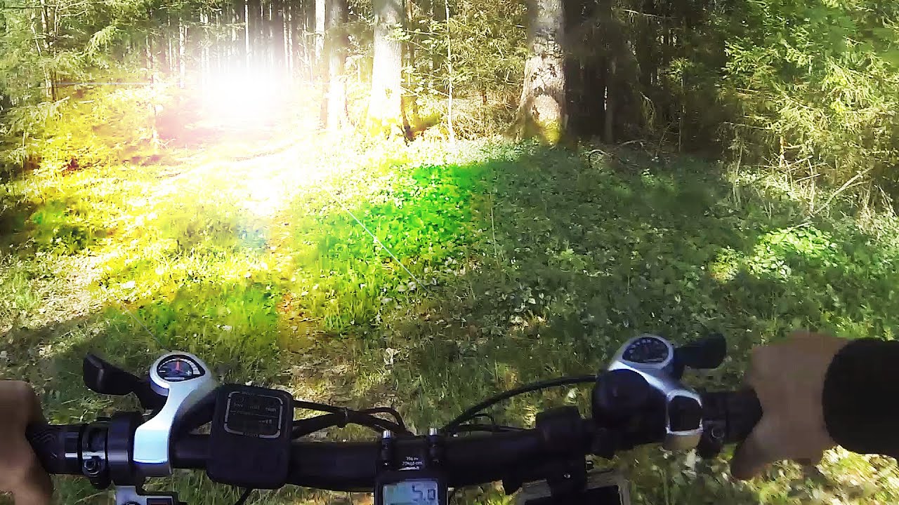 Waldradeln: Wurzeltrails (2), Zorneding
