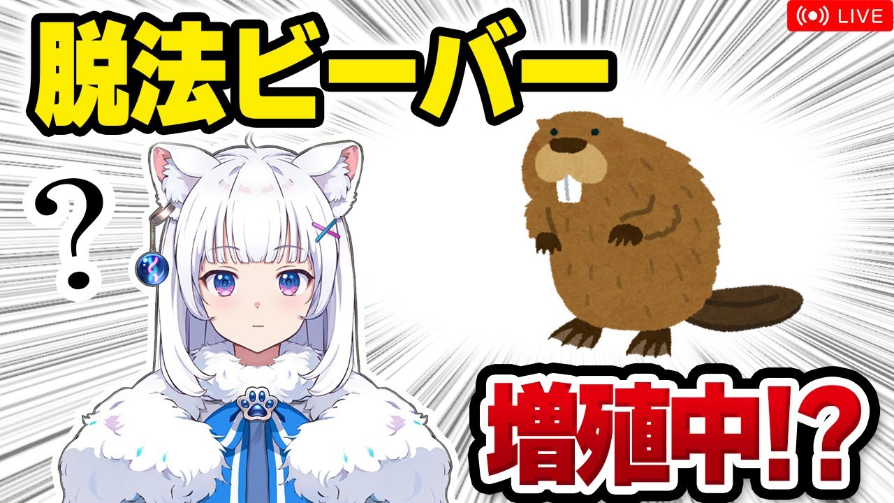 【獣医が解説】脱法ビーバー、イギリスで増殖中!? / 意外と知らないビーバーの話【北国ここなの動物研究室】