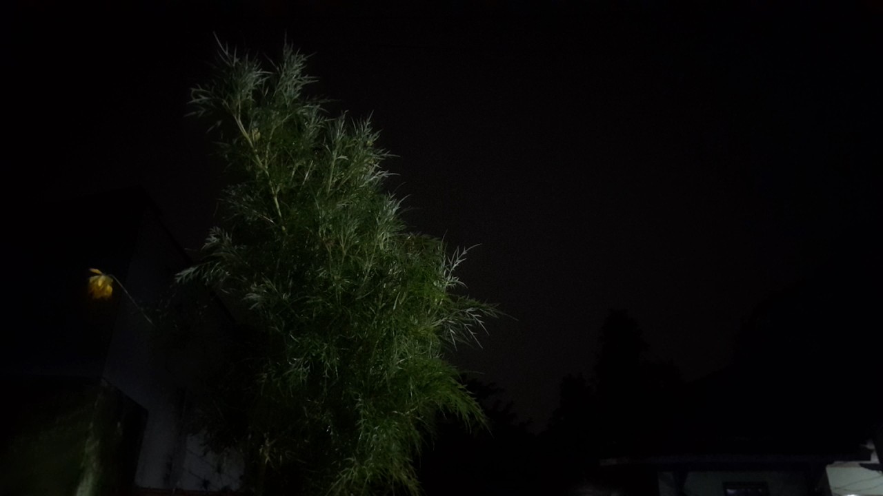 ASMR Rain Sounds for Sleeping | Atasi Strees dengan Suara hujan Ringan dan Suara Alam di Malam Hari 