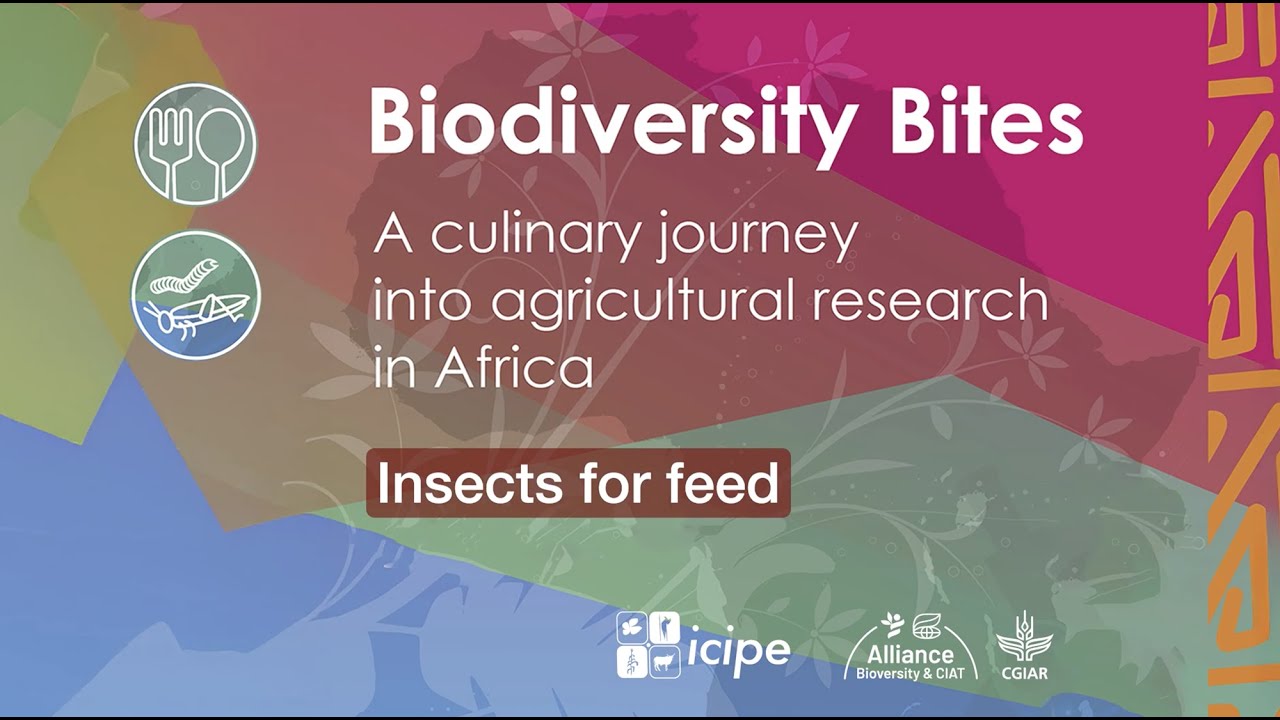 Biodiversity Bites - Insects for Feed