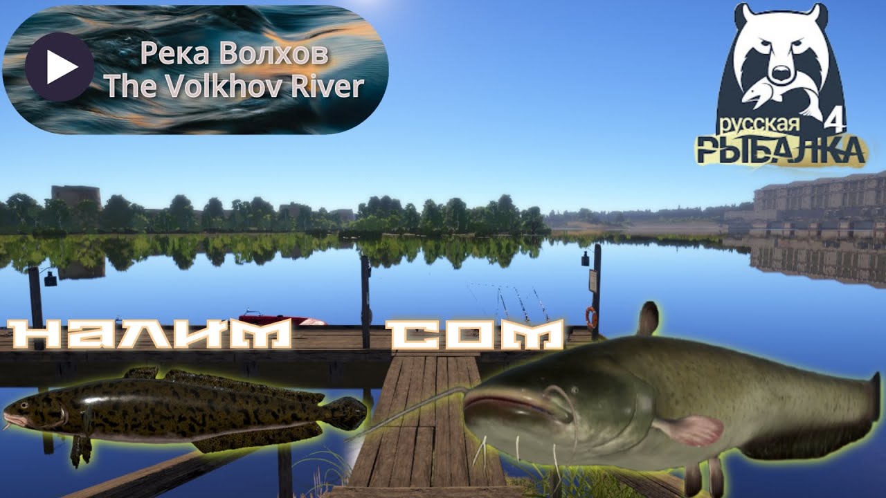 рр4 Волхов СОМ,Налим,Судак на живца.Русская рыбалка4/Volkhov CATFISH,Burbot,Walleye.Russian fishing4