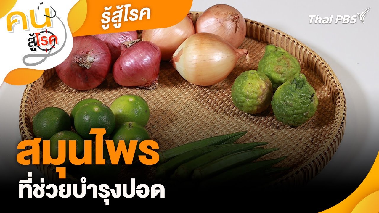 สมุนไพรที่ช่วยบำรุงปอด | รู้สู้โรค | คนสู้โรค