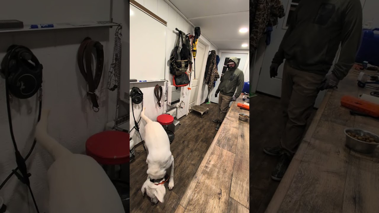 Jarvis working on fetch