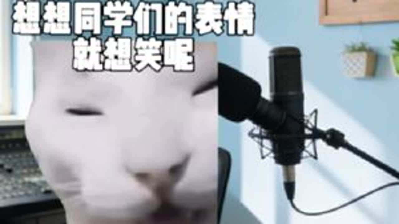 当你在广播室放一首自制的歌时#猫meme #拼好歌