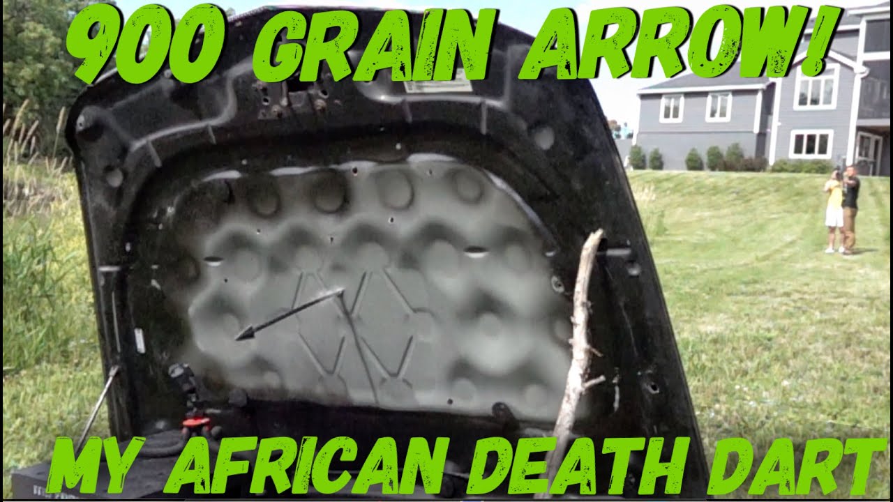 900 Grain Death Dart Build For My Cape buffalo HUNT! | Bowmar Bowhunting |