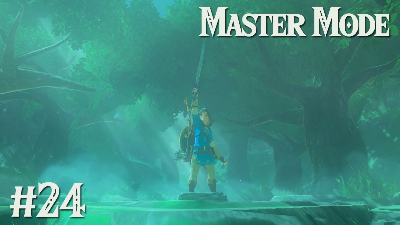 THE MASTER SWORD: Zelda BotW MASTER MODE #24