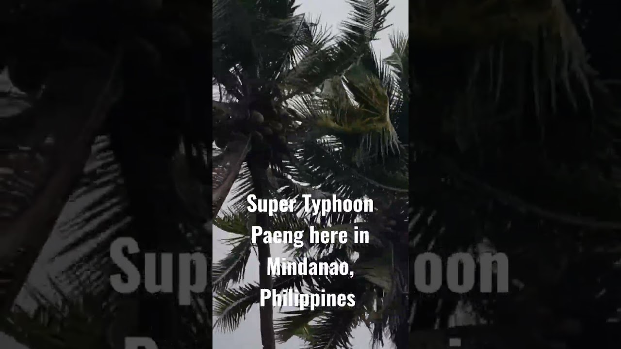 Super Typhoon Paeng hit badly Mindanao, Philippines