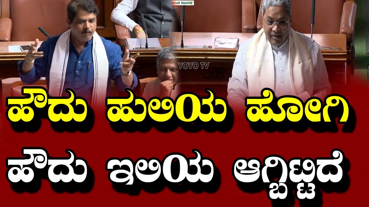 ನಾನು ಹೇಳ್ತಾ ಇದ್ದೀನಿ ಹೌದು ಹುಲಿಯ ಅಲ್ಲ ಇಲಿಯ R Ashok About CM Siddaramaiah | YOYO Kannada News