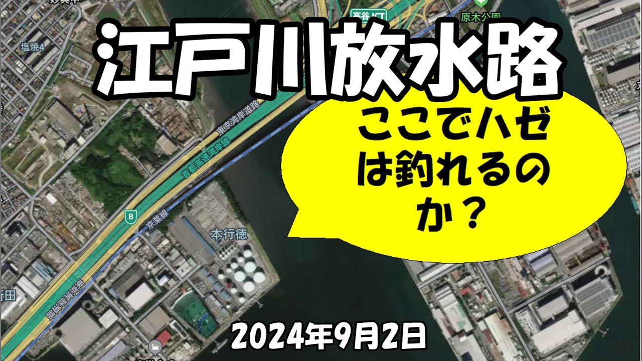 江戸川放水路ハゼ釣り（2024年09月02日）