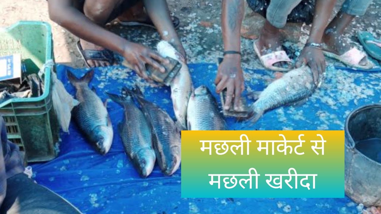 मछली माकेर्ट से मछली खरीदा!Fish Market Se Fish kharida!Daily lifestyle video!village vlog