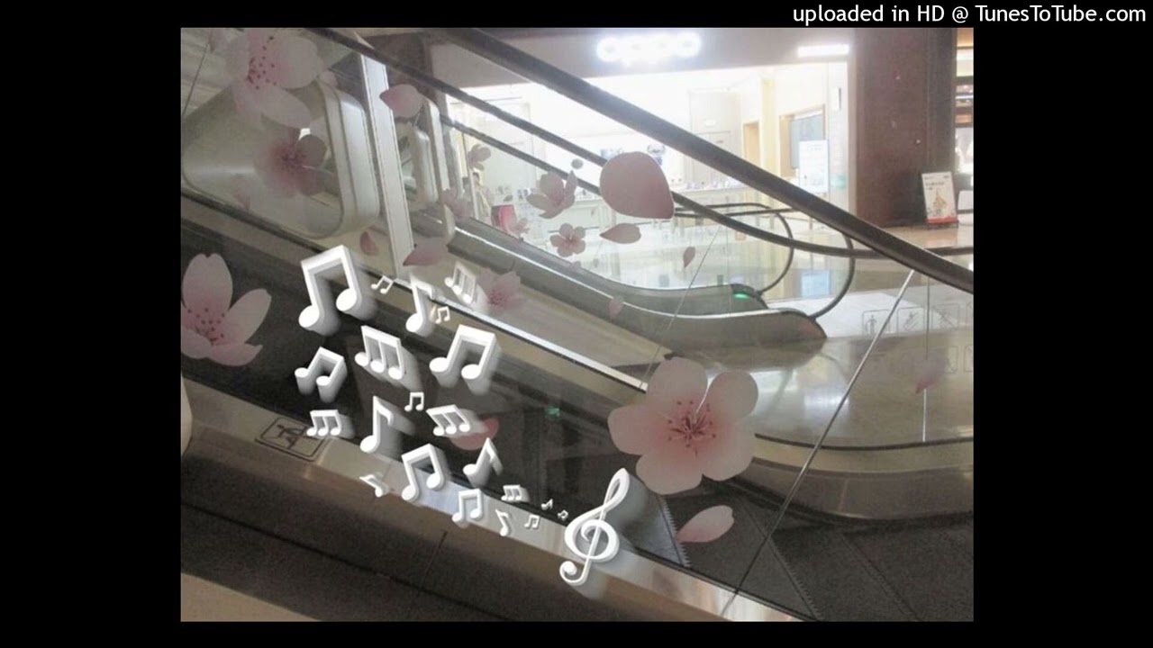 [FREE] che prettifun ginseng misogi type beat - 