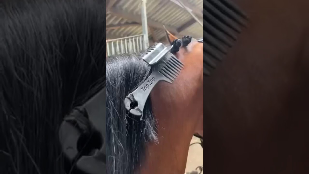 ASTUCE : Faire des pions de groom ! 🤩