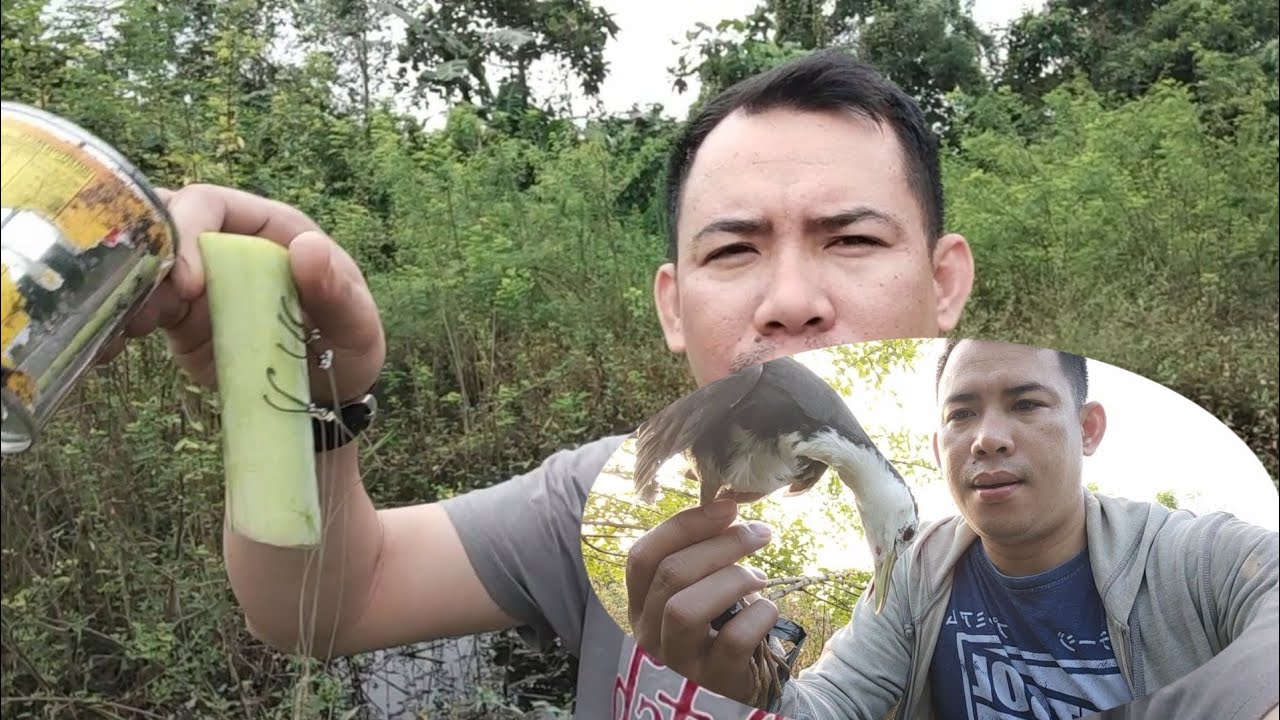 buhay probinsya|isang mabilis at madaling paraan sa paghuli ng tikling|abyan mike