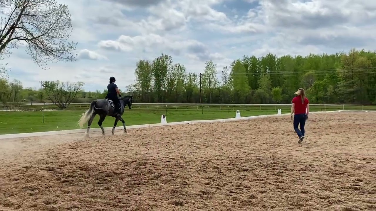 WRig JS Clinic R Trot & Lateral