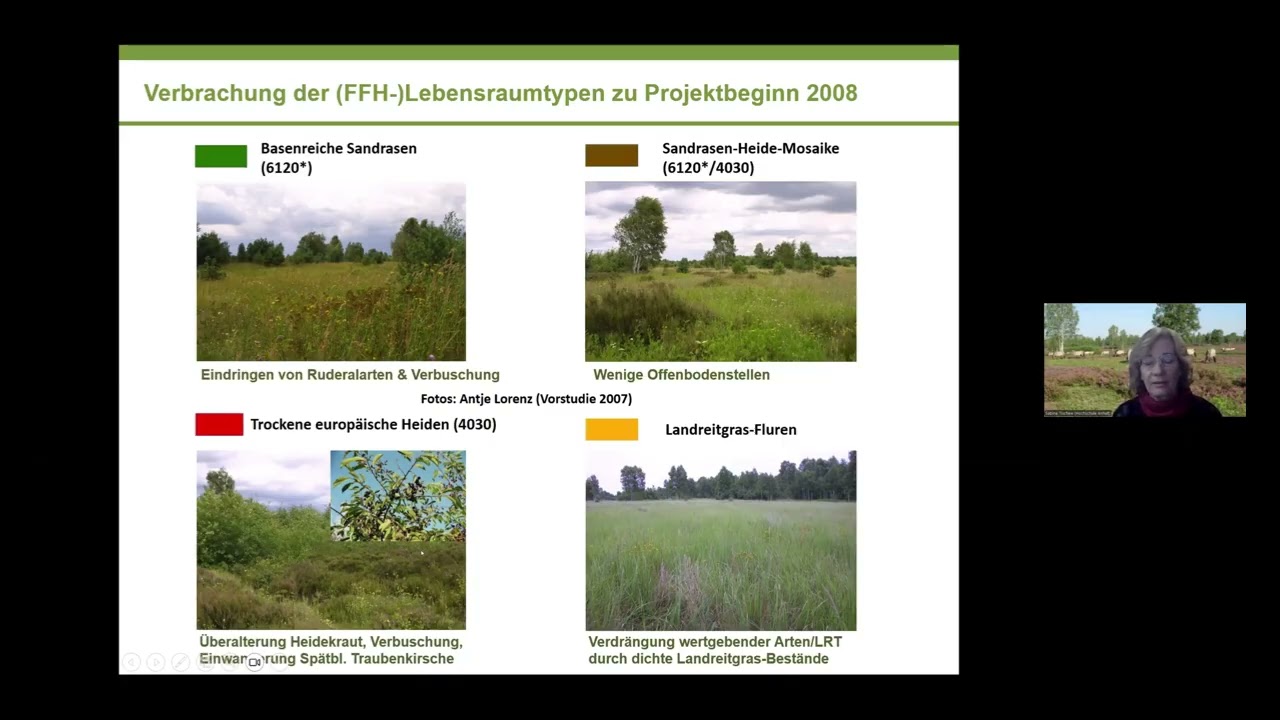 Prof. Dr. Sabine Tischew - Effekte ganzjähriger Beweidung in der Oranienbaumer Heide
