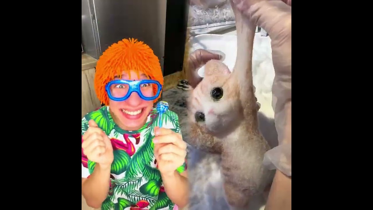 🤣👌👌👌2026 pov Must-Watch Crazy Clips Compilation #humor #fypシ #pov #fyp #foryou 😍😜