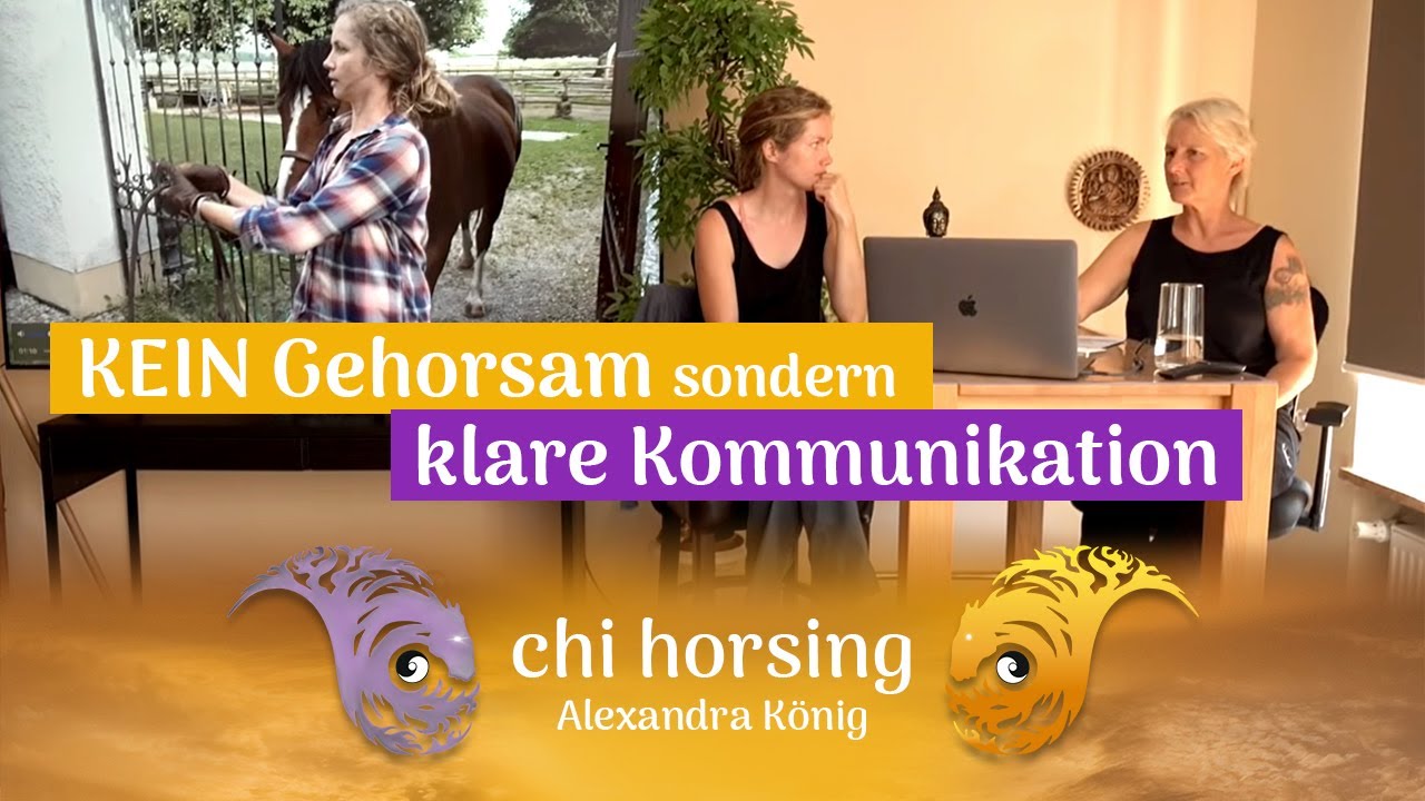 Körpersprache mit Pferden -  Was macht ein Pferd sicher? Ursachen mit großer Wirkung beim Führen