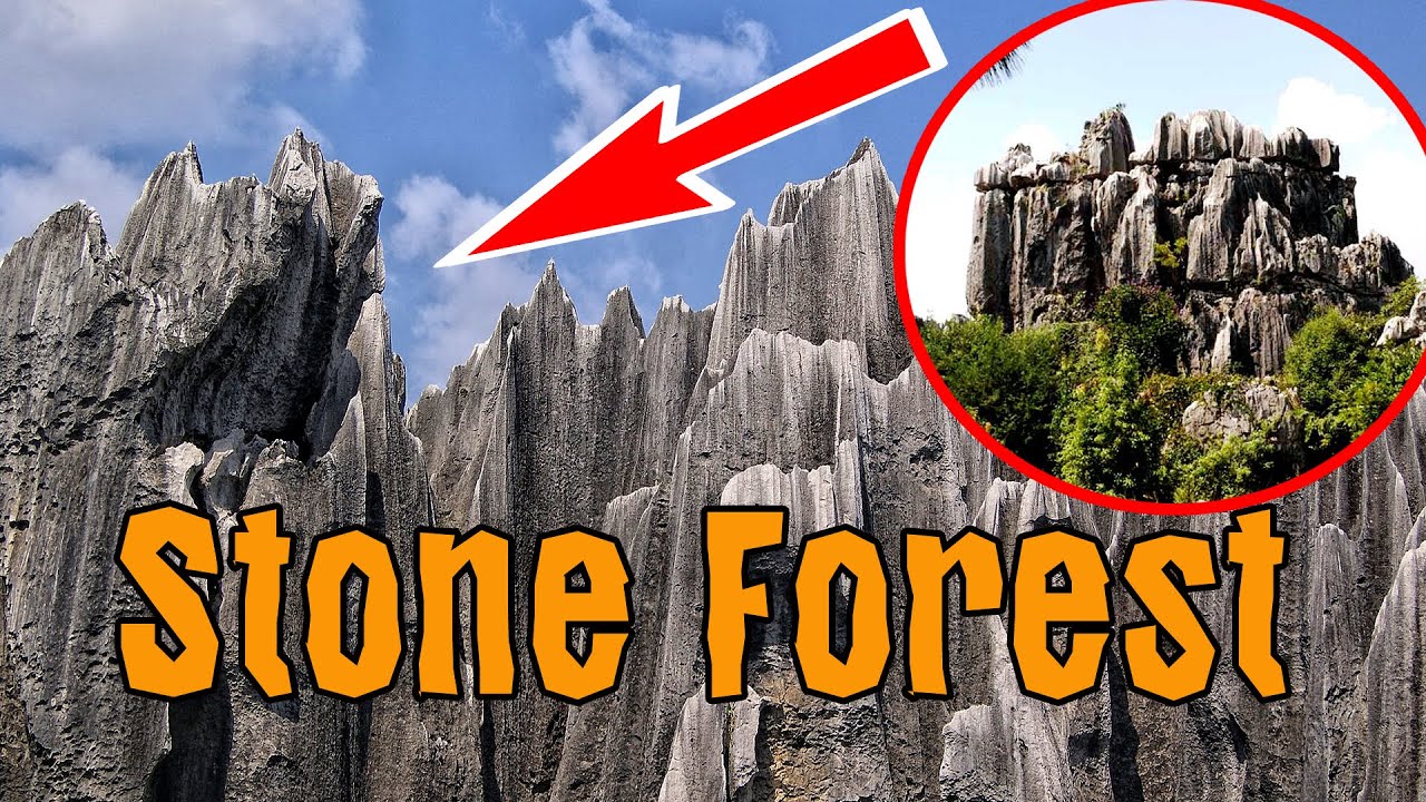 Stone Forest - Shilin - Yunnan - China