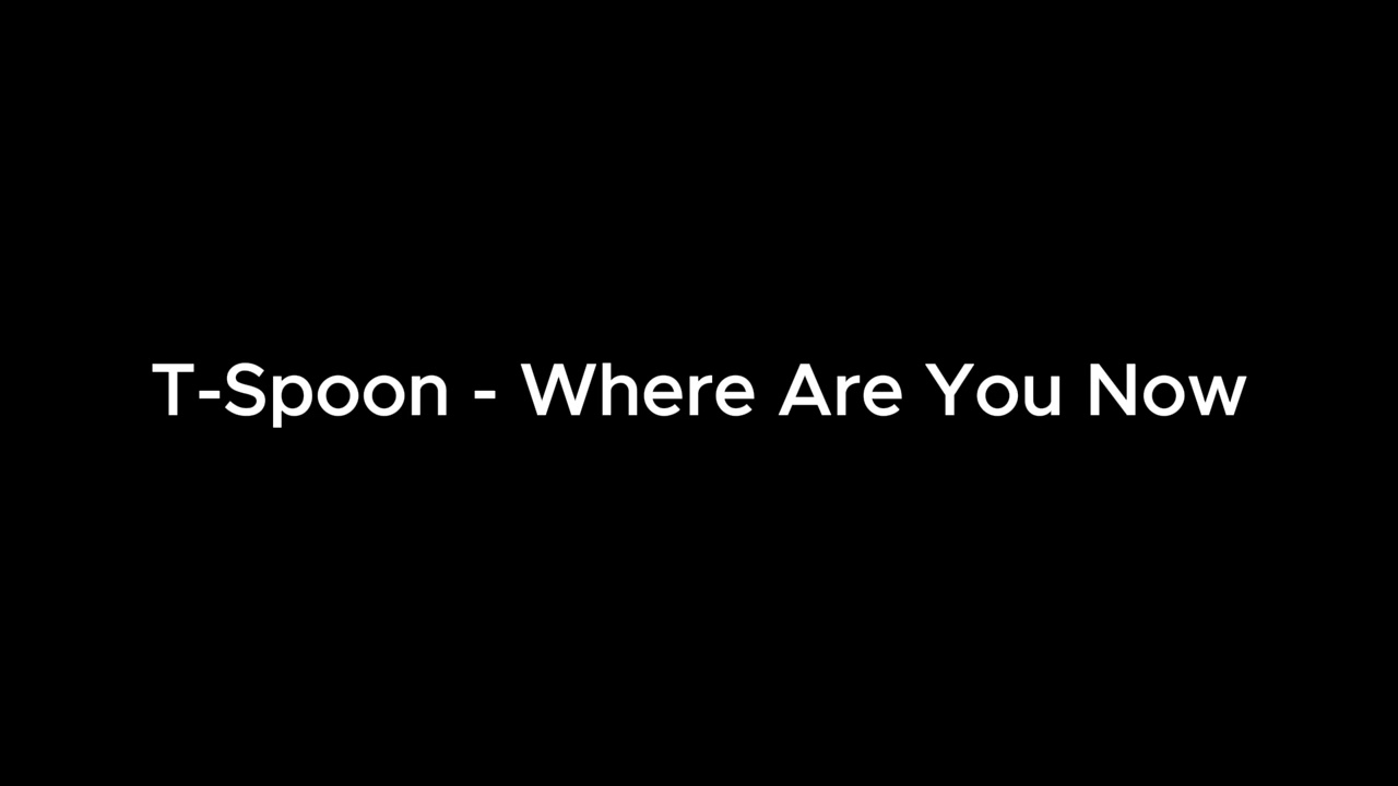T-Spoon - Where Are You Now (Radio Mix)