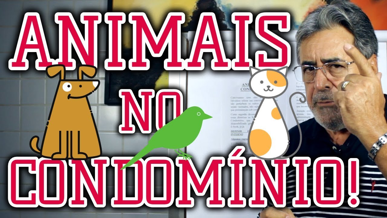 Animais no Condomínio | Síndico Profissional de Resultados