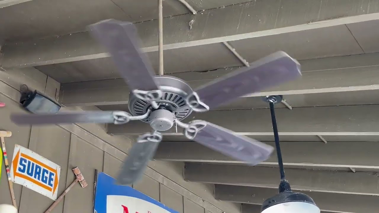 Ceiling Fans at Cracker Barrel (Leesburg FL)