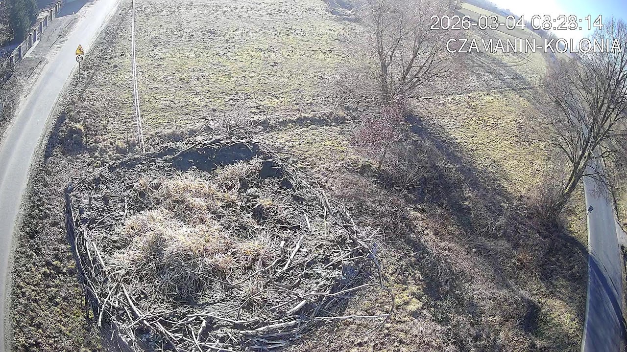 Bocianie gniazdo - Czamanin-Kolonia, Gmina Topólka