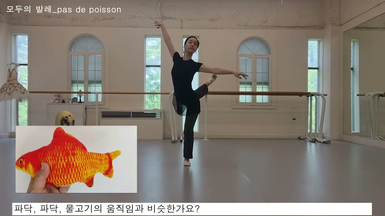 발레용어사전_47. pas de poisson 빠 드 뿌아쏭 (물고기 점프)