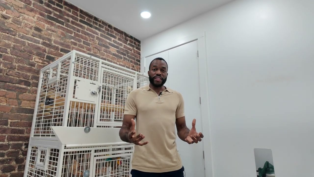 Why Every Parrot Owner Should Have an Air Purifier!