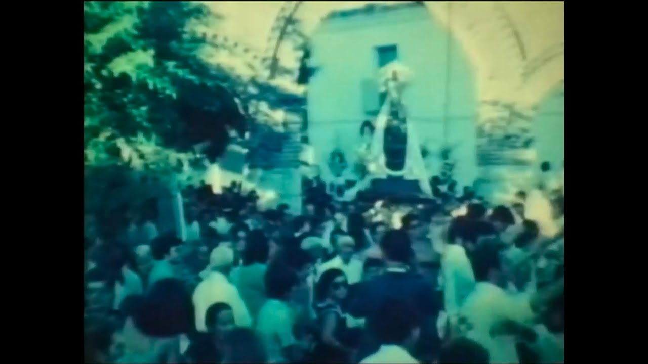 Portillo (Valladolid) 1981 - 8 septiembre - Procesión y encierro por el campo día 9.