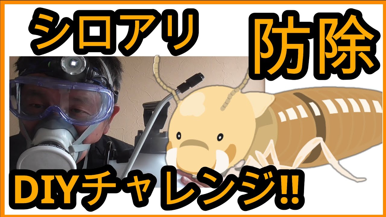 【DIY】シロアリ防除（駆除 予防）やってみたよー