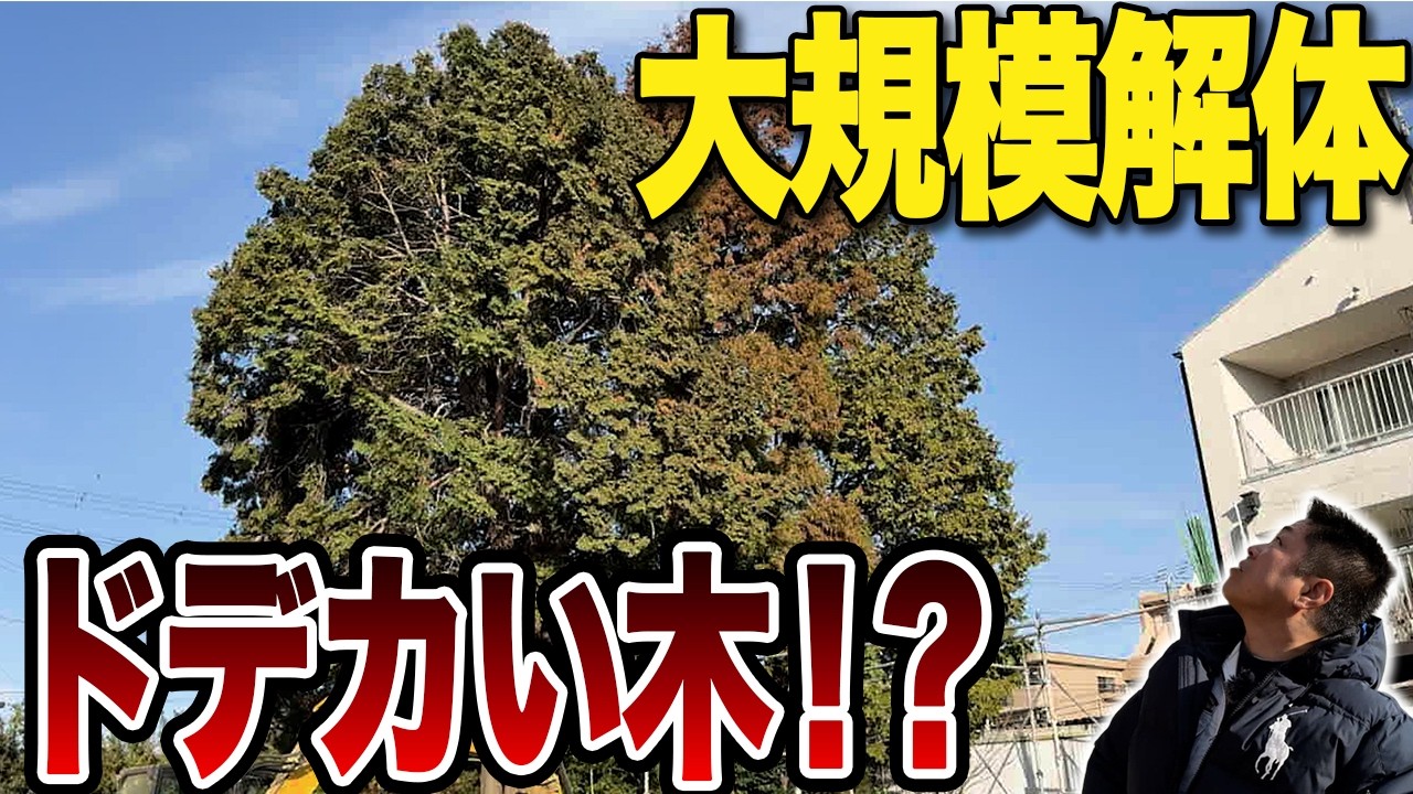 【大規模解体】新居の隣で旧家を壊す！？2026年1発目の現場は巨大な樹木が立ち塞がる難現場！【解体現場の裏側】