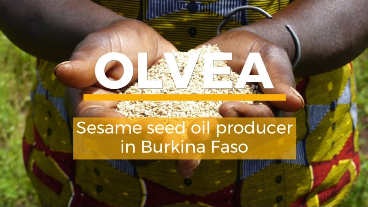 OLVEA - Sesame seed oil in Burkina Faso