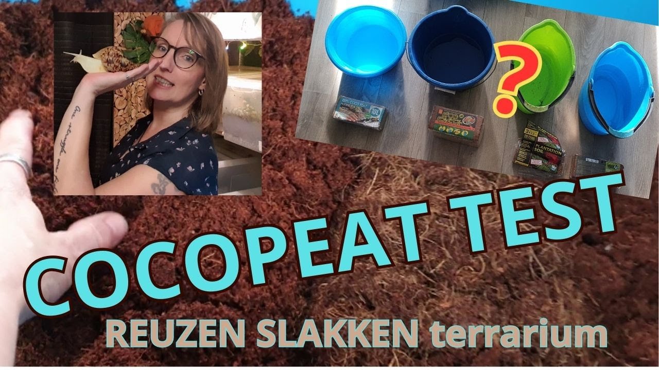 Cocopeat blokken test Terrarium Reuzenslakken