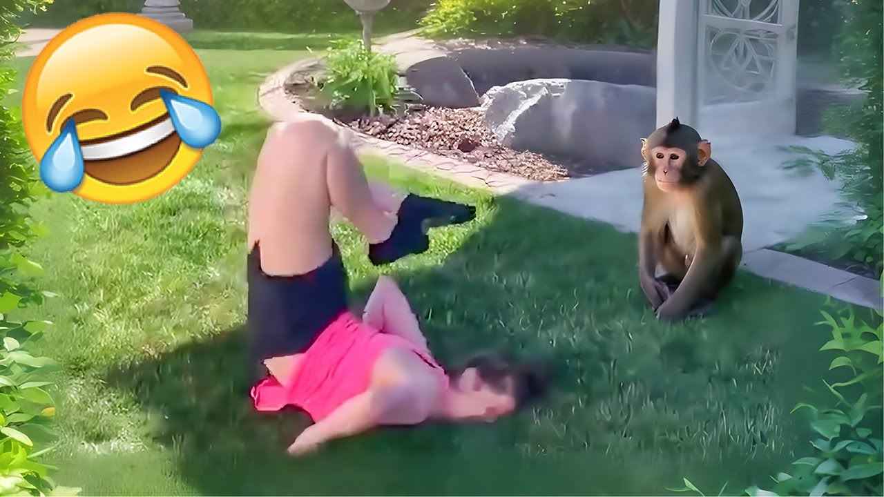 Best Funny Videos Of 2025 😂 TRY NOT TO LAUGH Funny Videos #35 😂