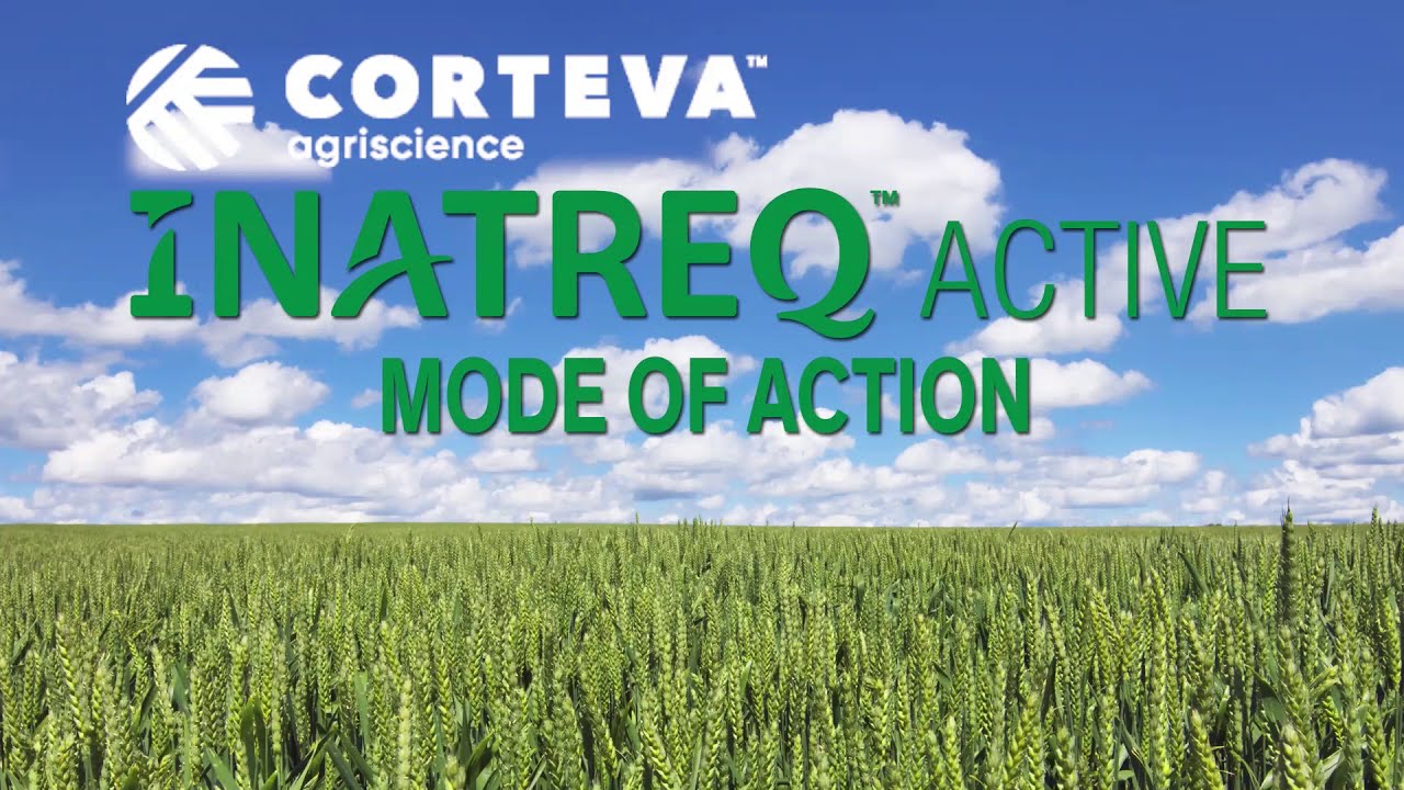 Inatreq Active Mode Of Action