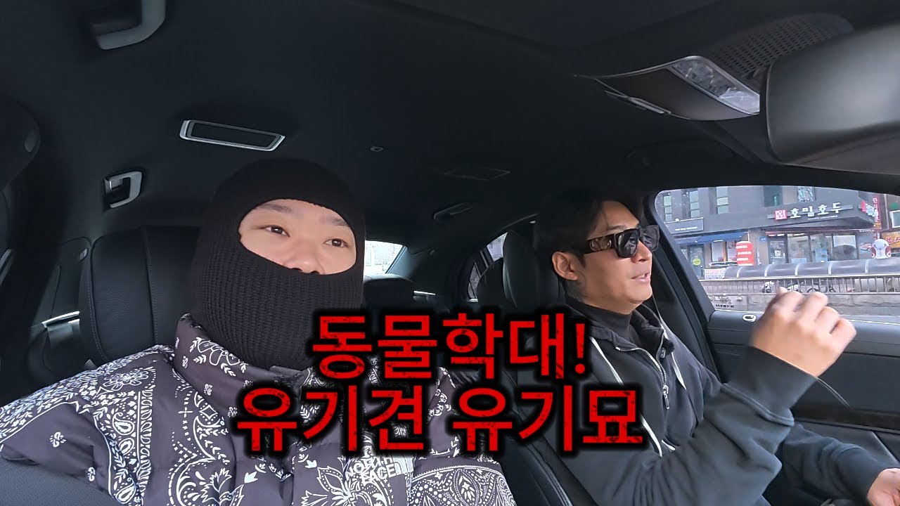 [혼돈쇼] 동물학대 .. 버림받는 동물들 대한민국 이대로는 괜찮은가! 유기견 기묘의 실태